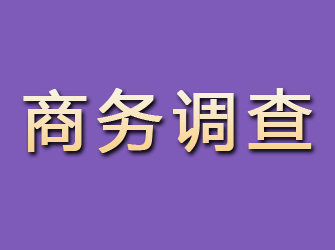 盐城商务调查